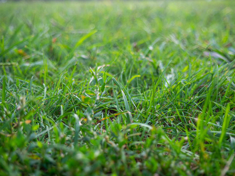 Sprinkler System Start-Up in Windham, NH — Cairn Home Co.